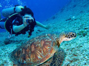 Spot Menyelam Ini Memilki Keindahan Bawah Laut yang Tak Biasa