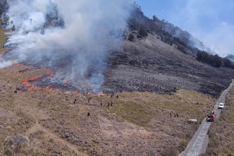 Bukit Telletubies Kebakaran, Gunung Bromo Ditutup Total Bagi Pengunjung