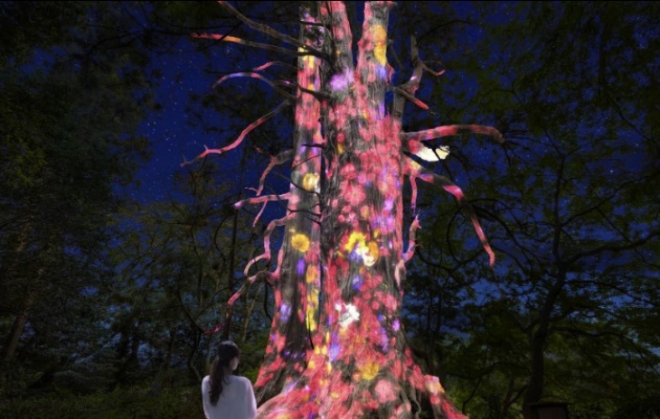 Instalasi Seni Cahaya Warna-Warni di Taman Kairakuen Jepang