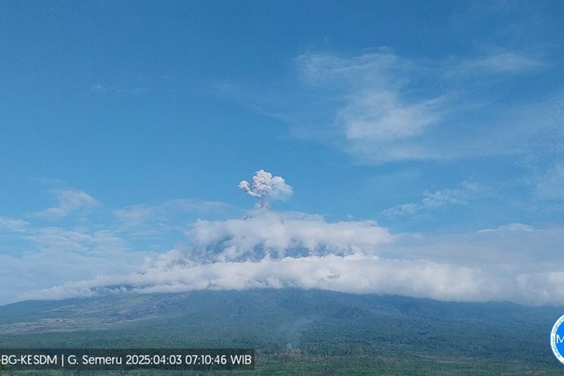 Kamis Pagi, Gunung Semeru Erupsi, Tinggi Letusan hingga 900 Meter