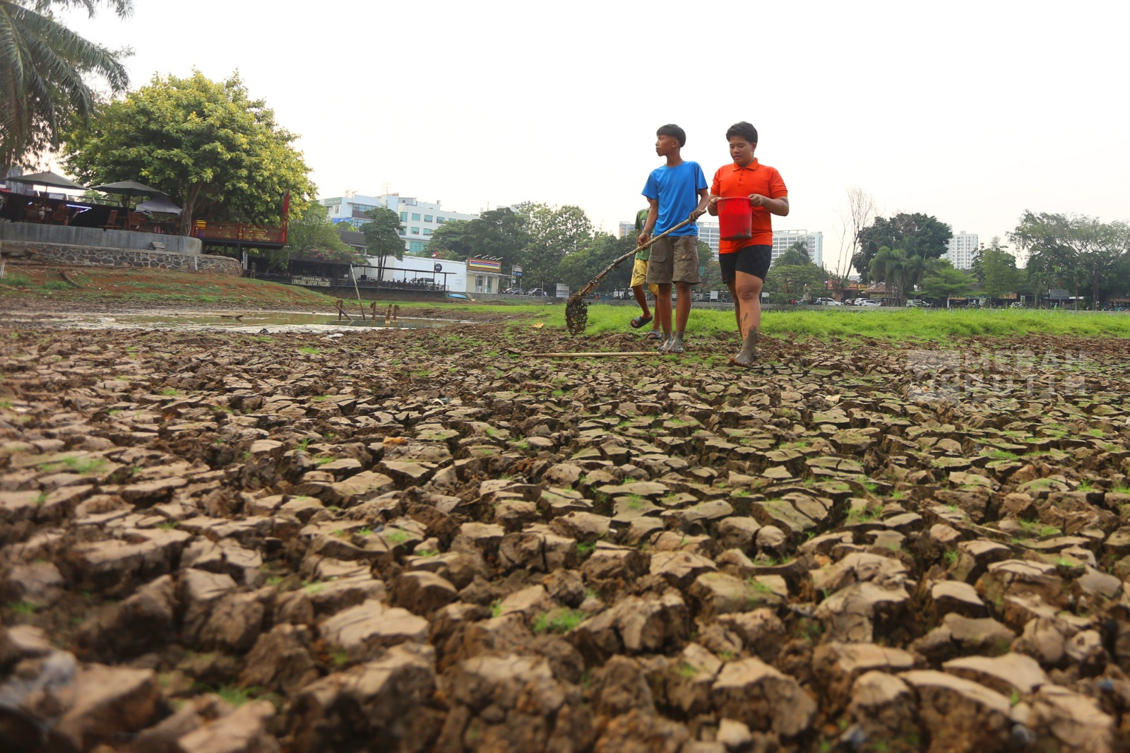 Kemarau Panjang, Danau Cinere Berubah Menjadi Hamparan Tanah Kering