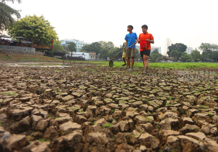 Kemarau Panjang, Danau Cinere Berubah Menjadi Hamparan Tanah Kering