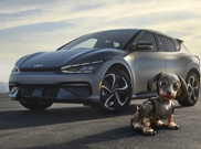 KIA Robo Dog Bantu 22.000 Anak Bulu Temukan Rumah Baru