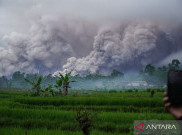 Kamis Pagi, 59 Gempa Hantam Semeru dalam 6 Jam Pasca-Erupsi