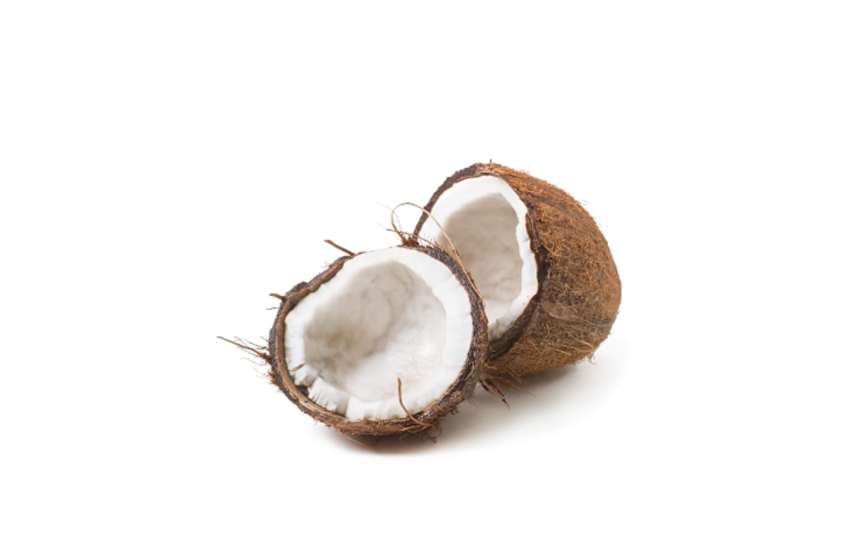 Semangka vs Kelapa