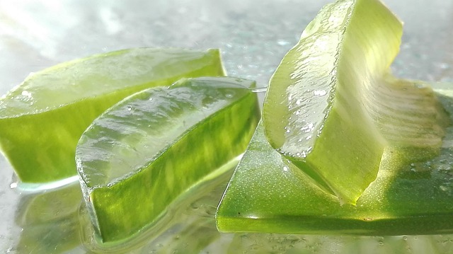 Produk olahan lidah buaya kini mudah didapatkan (Foto: Pixabay/mozo190)
