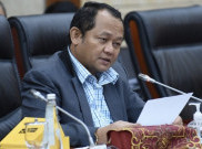 Antisipasi Kelangkaan, DPR Sarankan Impor Beras di Luar Masa Panen