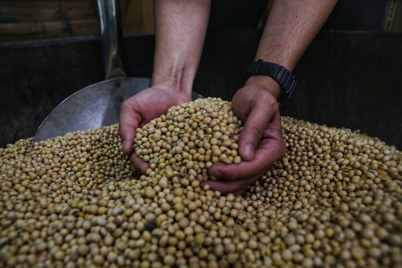 Pemerintah Jual Kedelai Impor Rp 10.000 per Kg Turunkan Harga Tahu dan Tempe