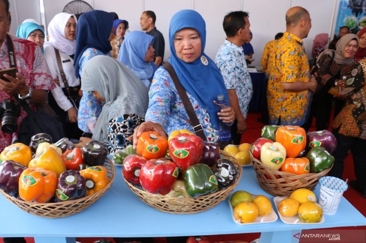  Pengunjung melihat produk unggulan yang dipamerkan saat Festival Hari Pangan Sedunia di Sport Center, Indramayu, Jawa Barat, Rabu (2/10/2019). ANTARA FOTO/Dedhez Anggara/hp