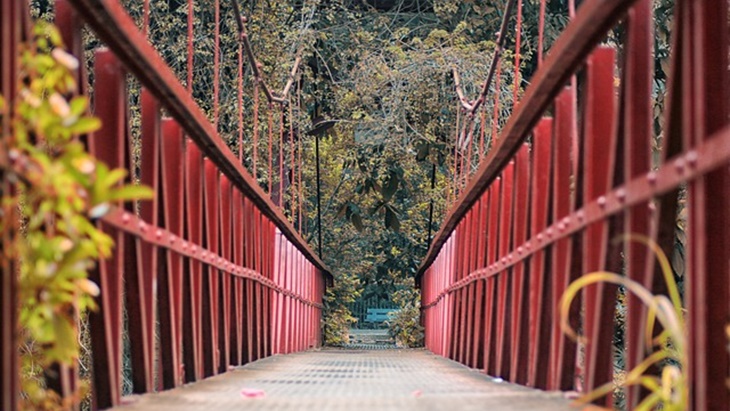 Liburan Singkat ke Bogor, Wajib Eksis di Destinasi Instagrammable Ini