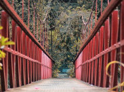 Liburan Singkat ke Bogor, Wajib Eksis di Destinasi Instagrammable Ini