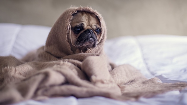 Pandemi Bikin Jam Tidur Terbalik? Perbaiki dengan 3 Cara Ini