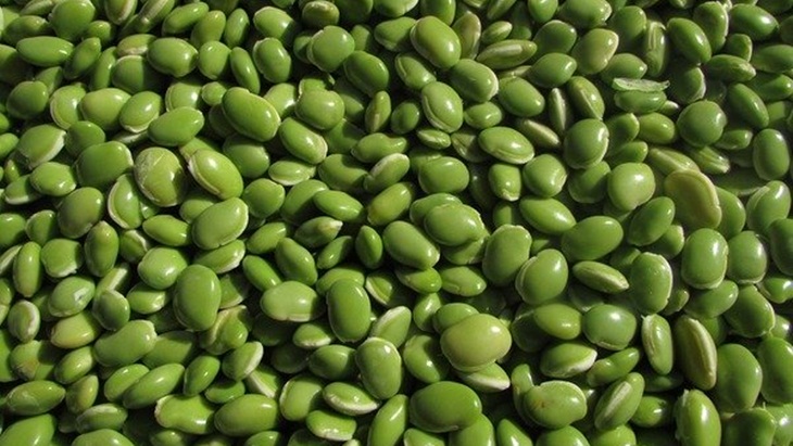 Manfaat Dahsyat Kacang Polong bagi Kesehatan yang Jarang Diketahui