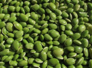 Manfaat Dahsyat Kacang Polong bagi Kesehatan yang Jarang Diketahui