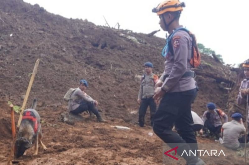 Polisi Kerahkan Anjing Pelacak K9 Cari Korban Hilang Akibat Gempa di Cianjur