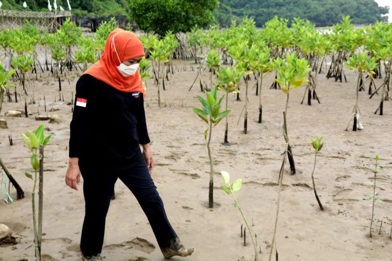 Gubernur Jatim Khofifah Indar Parawansa 