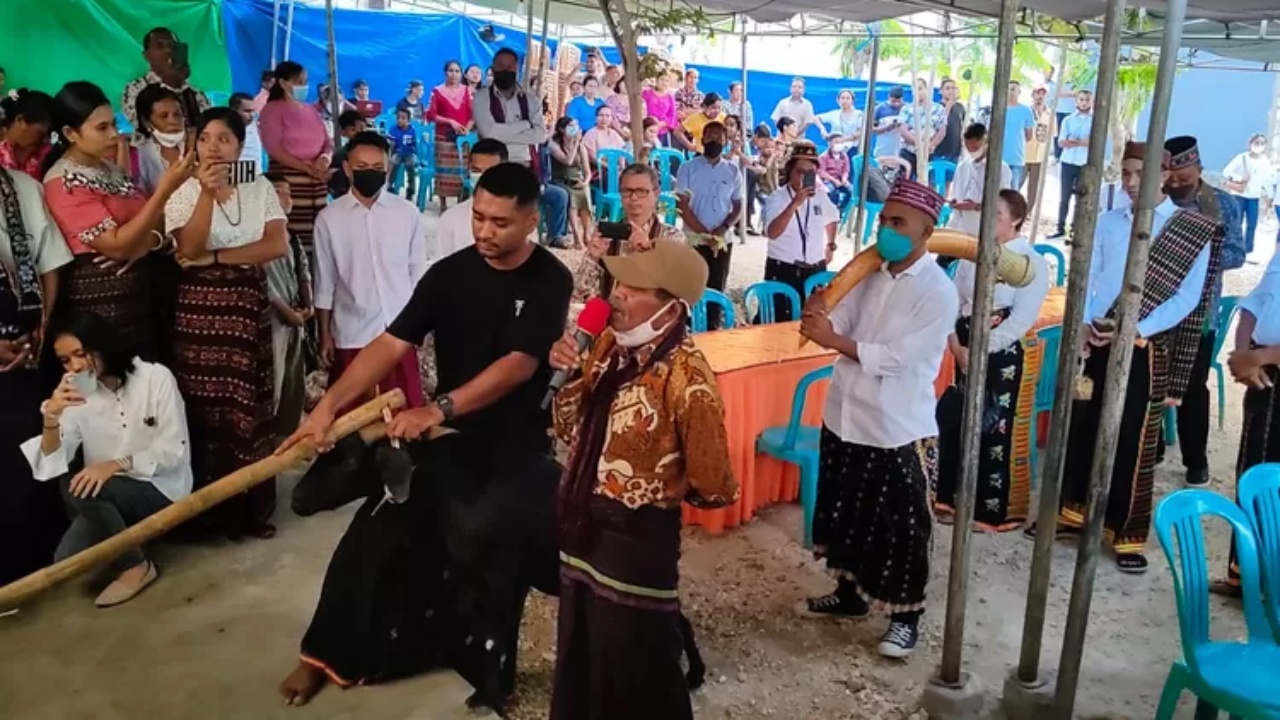 Mengenal Tradisi Belis di NTT, Mahar yang Harus Disiapkan untuk Meminang Perempuan