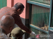 Gubernur DKI Jakarta Pramono Anung Ngaku Punya Harimau, Dibeli Sendiri tapi Titipkan Harimau di Ragunan yang Dibeli Secara Pribadi