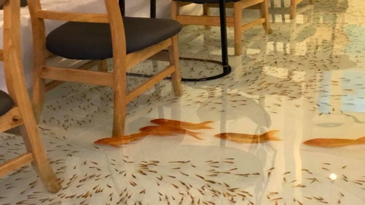Kafe ini Tawarkan Sensasi Makan Bersama Ikan Hias