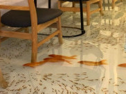 Kafe ini Tawarkan Sensasi Makan Bersama Ikan Hias 