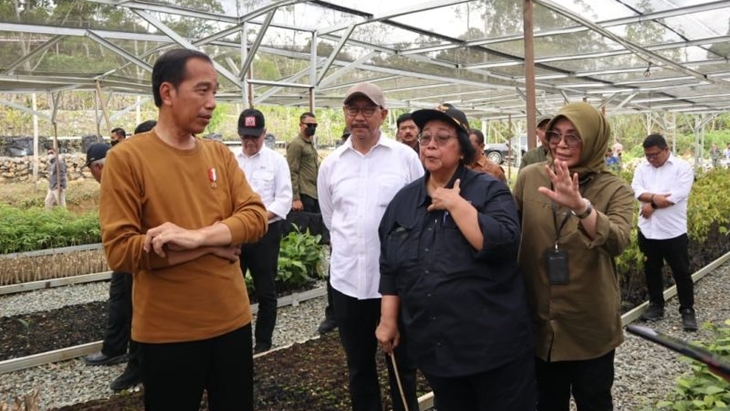 Jokowi Tekankan Perlindungan Orang Utan dalam Pembangunan IKN