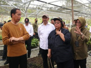 Jokowi Tekankan Perlindungan Orang Utan dalam Pembangunan IKN