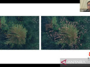 Teknologi Lidar Temukan 958 Titik Situs Arkeologi Baru Gunung Penanggungan