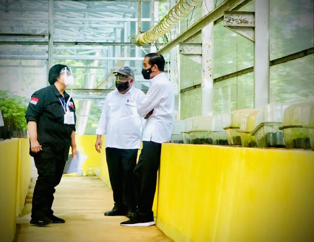 Pemerintah Bangun Pusat Benih Untuk Atasi Bencana Ekologis