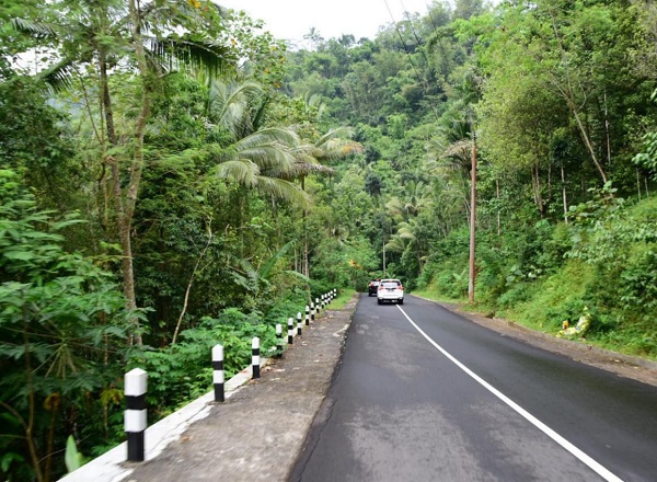 Jalur Mudik