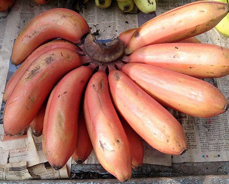pisang merah