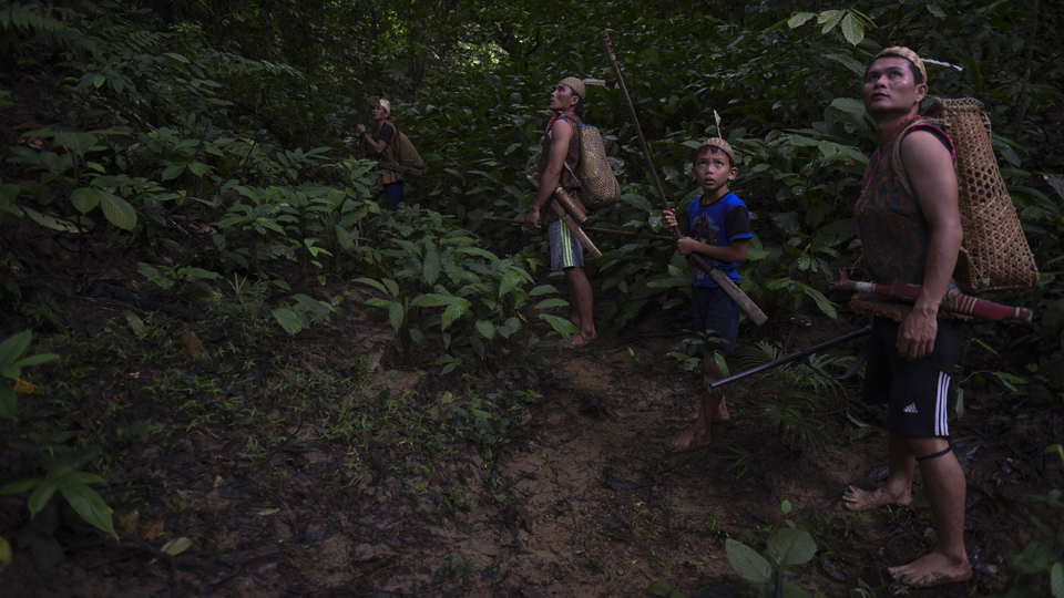 Selain berladang dan beternak, masyarakat suku Dayak di Desa Setulang masih sering melakukan tradisi berburu sebagai mata pencaharian. (ANTARA FOTO/Zabur Karuru)