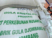 Pengamat Dorong Pemerintah Lakukan Lelang GKR