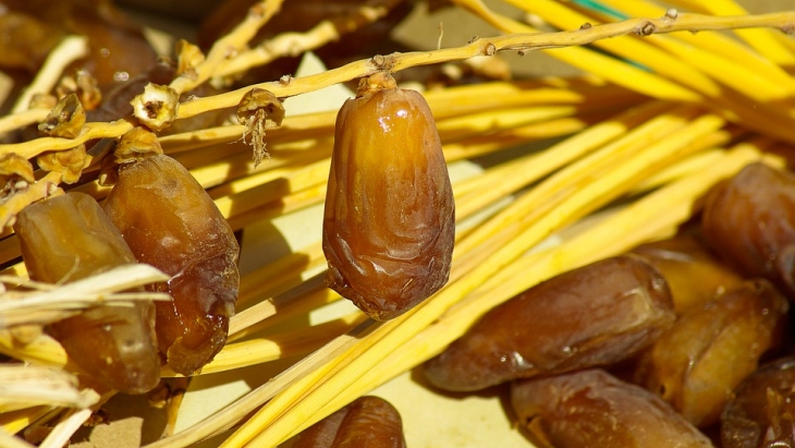 Cara Mengetahui Kurma Berkualitas atau Tidak