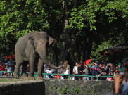 17 Ribu Wisatawan 'Serbu' Ragunan di Penghujung Libur Lebaran 2025