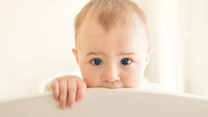 bayi