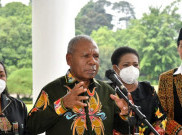 Temui Jokowi, Majelis Rakyat Papua dan Papua Barat Bahas Daerah Otonomi Baru