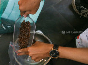 Beberapa Hal yang Harus Dimiliki Roaster Andal