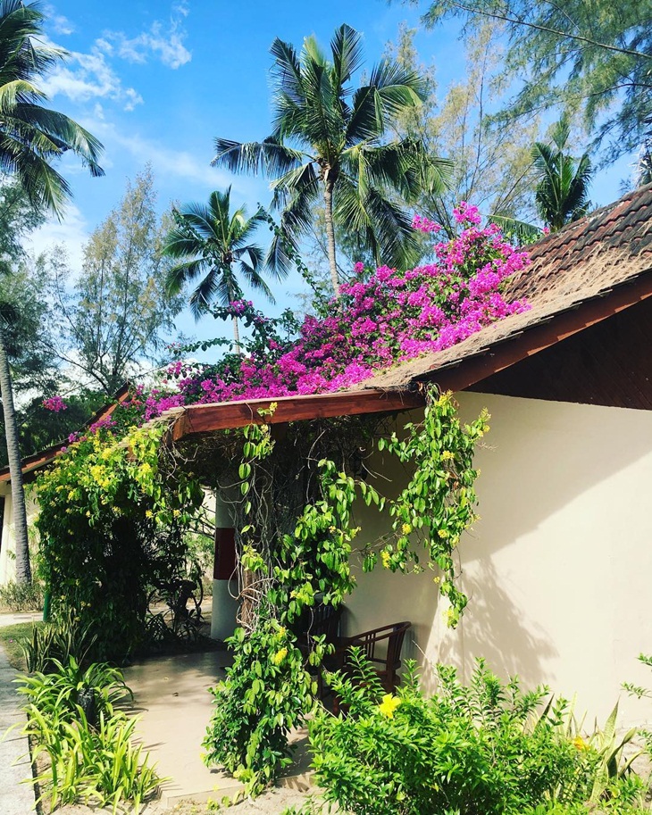 The Frangipani Langkawi Resort and Spa. (Foto: instagram.com/single_explorer)