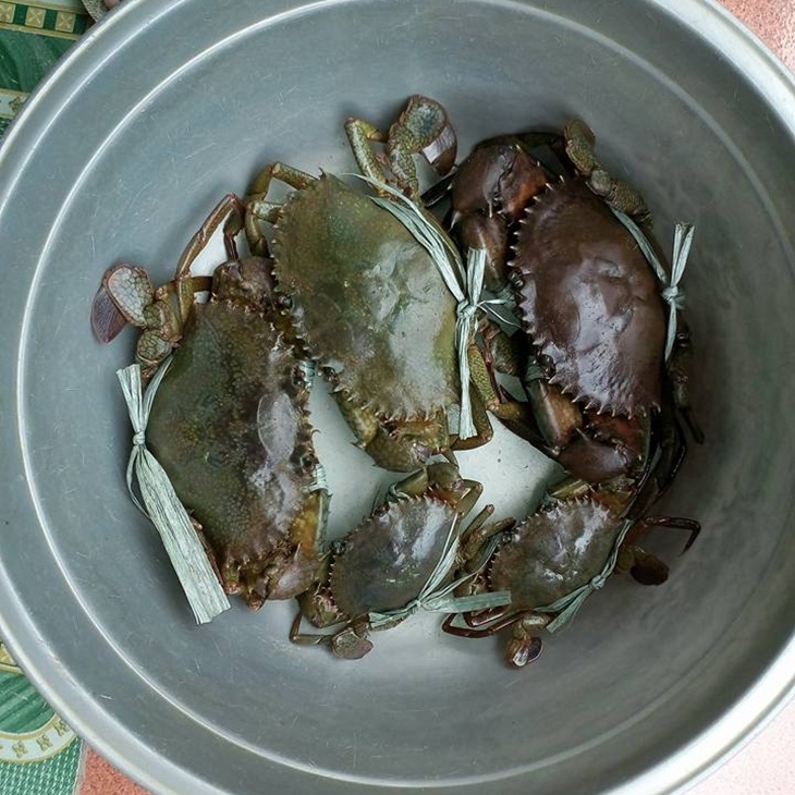 Kepiting di Sirombu. (Foto: facebook.com/hipoo.hiaa)