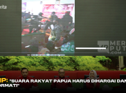 PDIP: