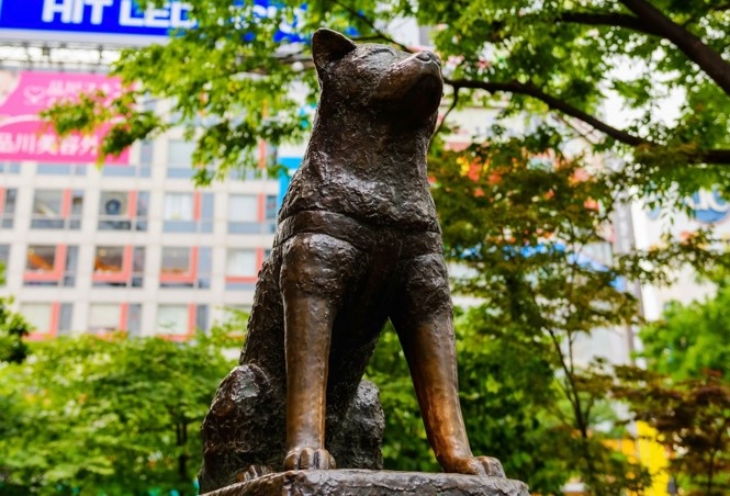 Adidas Kenang Hachiko dengan Koleksi Sneakers Terbaru