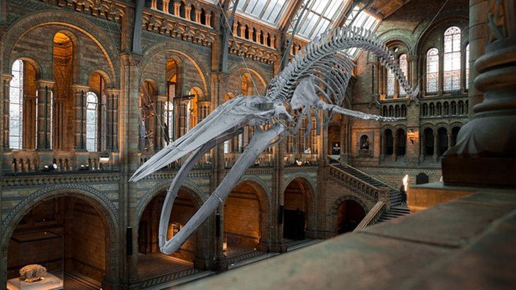 Ikut Aturan di Museum, Jangan Bandel!