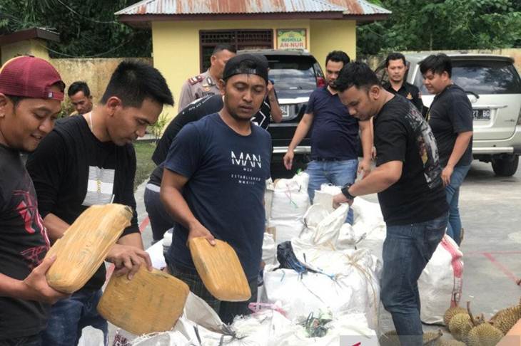 Anggota SatresNarkoba Polres Metro Jakarta Barat mengungkap peredaran paket ganja kering berasal dari Sumatera. (ANTARA/HO-Polres Metro Jakarta Barat)