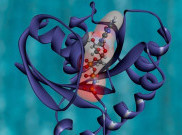 Hari Kanker Sedunia: Ladies, Jangan Takut Dulu dengan Kanker 