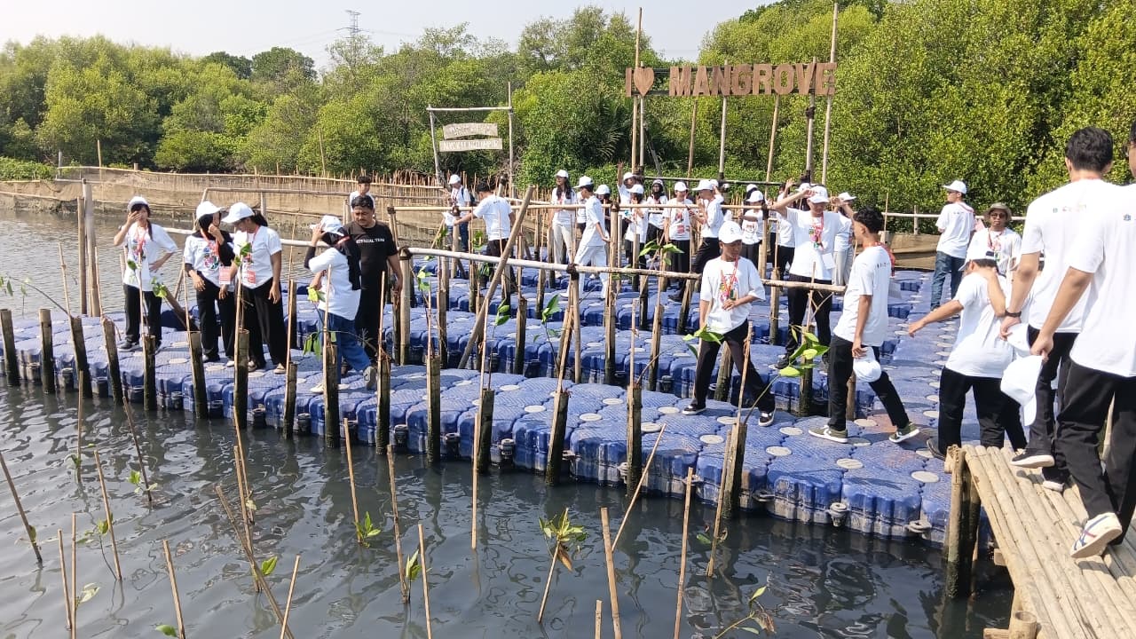 Siswa SMK Jayawisata 1 Rela Kotor Tanam Mangrove Atasi Abrasi Jakarta