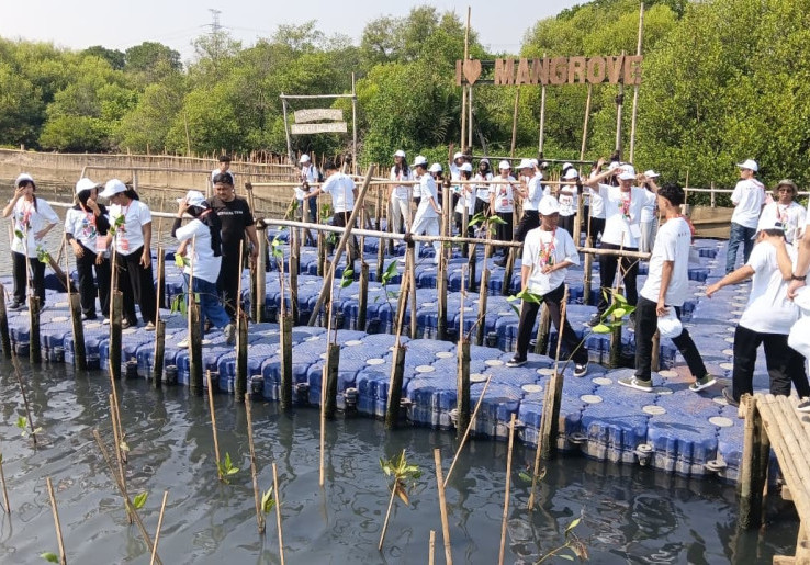 Siswa SMK Jayawisata 1 Rela Kotor Tanam Mangrove Atasi Abrasi Jakarta