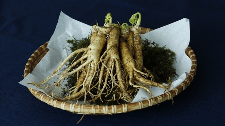 Manfaat Luar Biasa dari Ginseng