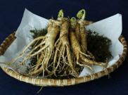 Manfaat Luar Biasa dari Ginseng