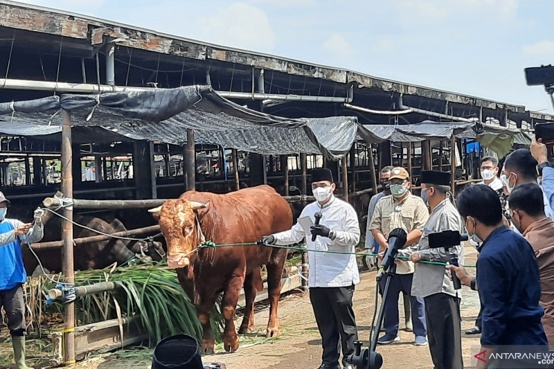 Pemprov DKI Janji Bangun Krematorium Jenazah COVID-19