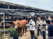 Pemprov DKI Janji Bangun Krematorium Jenazah COVID-19